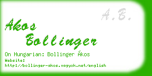akos bollinger business card